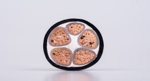 電線電纜廠淺談低煙無鹵阻燃電纜的特點(diǎn)